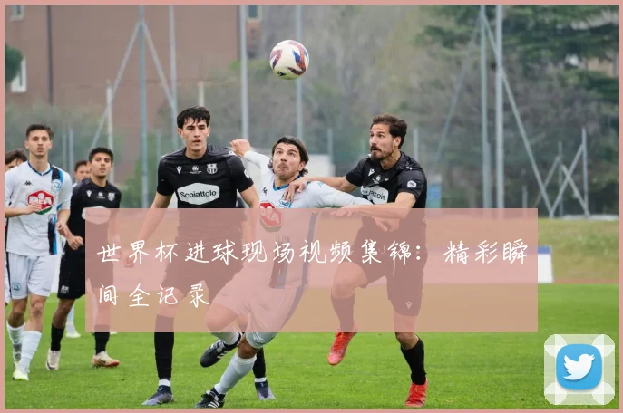 世界杯进球现场视频集锦：精彩瞬间全记录