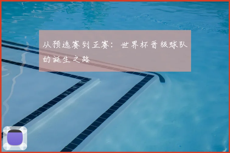 从预选赛到正赛：世界杯晋级球队的诞生之路