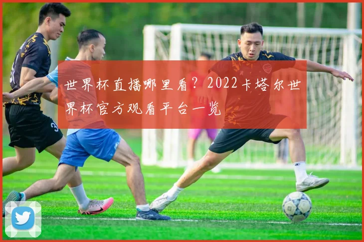 世界杯直播哪里看?2022卡塔尔世界杯官方观看平台一览